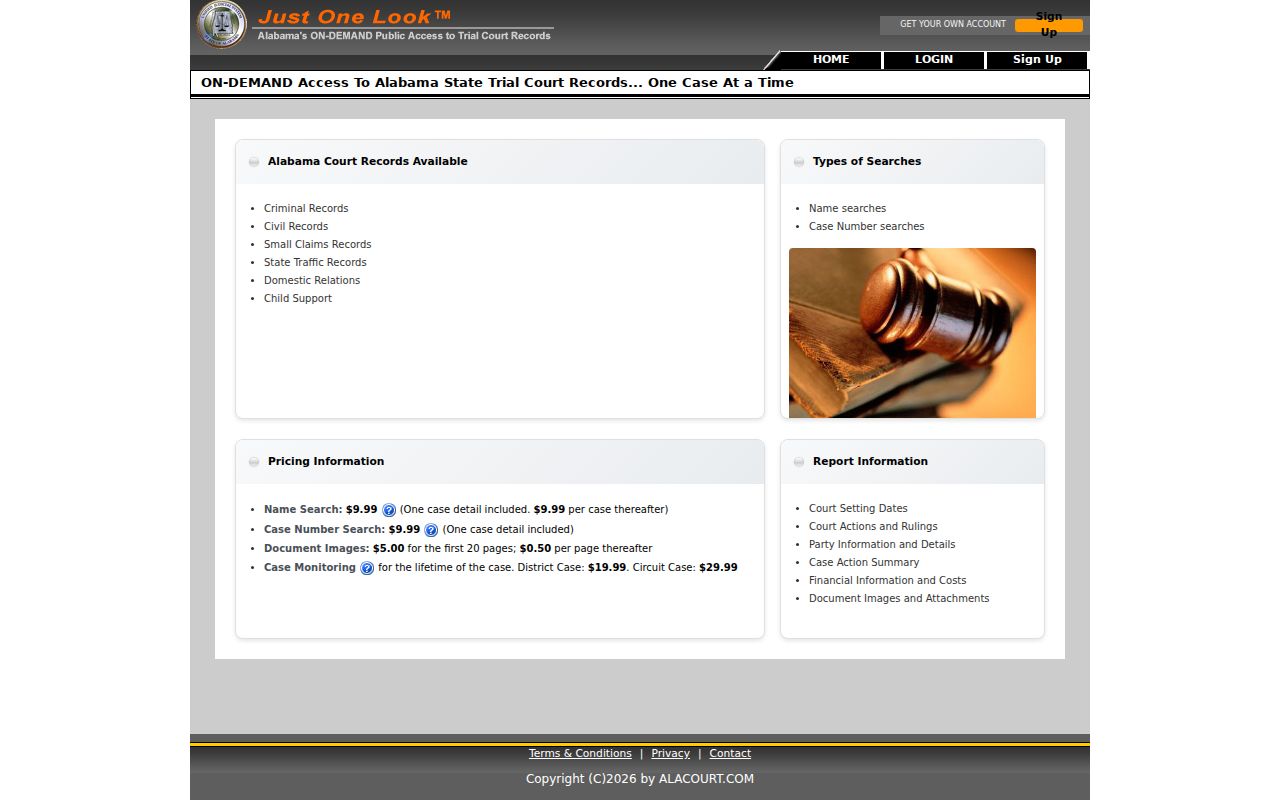 Macon County court records Just One Look portal